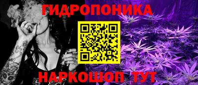 молекула духа Гатчина
