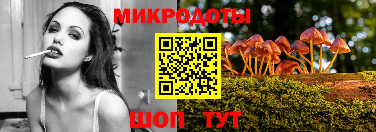 Михайловка  Галлюциногенные грибы Psilocybe  Вход с VPN 