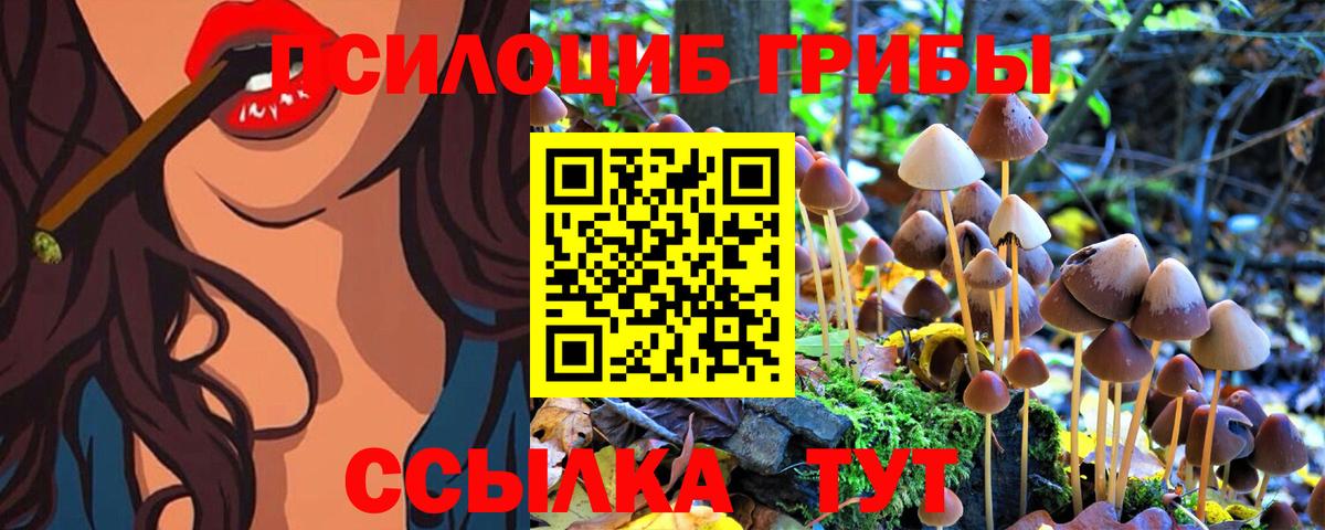 Псилоцибиновые грибы Psilocybine cubensis Михайловка